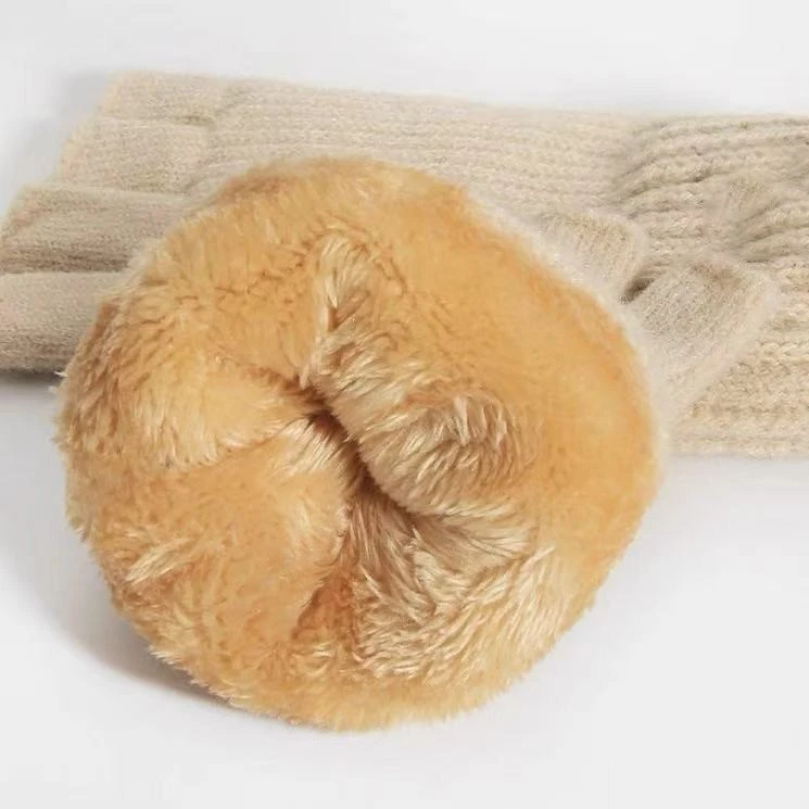 Premium Winter Gloves For Women factory Premium Winter Gloves For Women factory